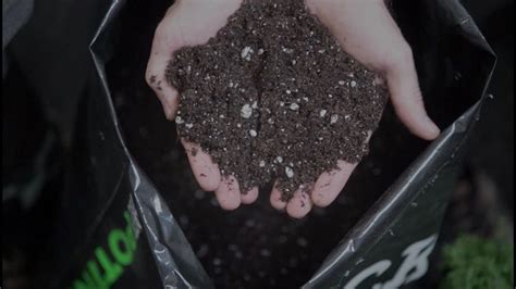 Magic diry potting soil